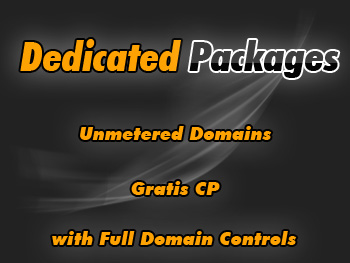 Budget dedicated servers hosting services